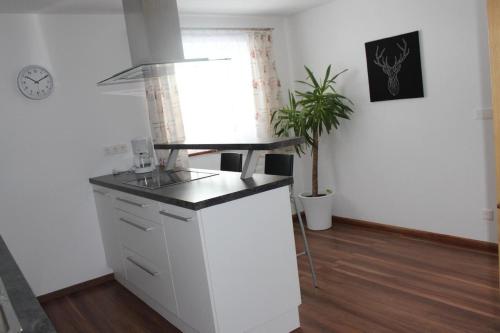 Kuchyň nebo kuchyňský kout v ubytování Ferienwohnung Mit Blick Auf Die Berge