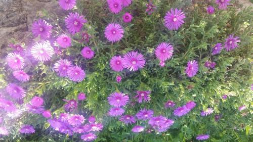 Gemütliche Wohnung Andrea In Opatija