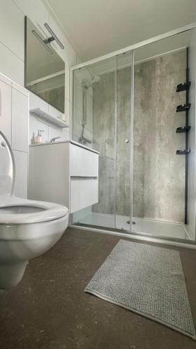 a bathroom with a toilet and a glass shower at 't Haasnestje in Harderwijk
