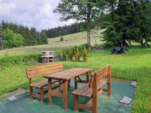 Κήπος έξω από το Fewo Am Skihang Og