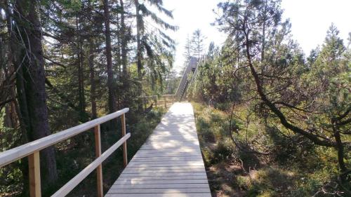 Φυσικό τοπίο κοντά σε αυτό το διαμέρισμα