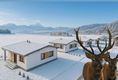 Příroda nedaleko apartmánu