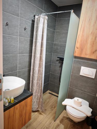 a bathroom with a shower and a toilet and a sink at Harmony, Residence Hill A85 in Kopaonik