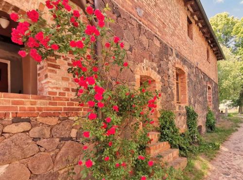 Une bande de fleurs rouges sur le côté d'un bâtiment dans l'établissement Studio Brennerei Haselberg, à Wriezen