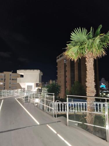 Sea&Skyline Suites Benidorm photo 31