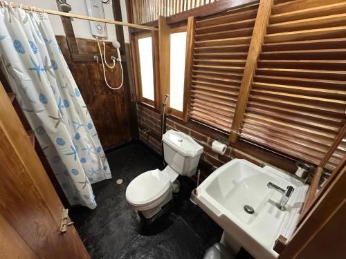 a bathroom with a toilet and a sink at Verdant Hill Villa in Tangalle