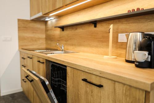 博兹达尔U Božího potoka by Mountain ways的带水槽和台面的厨房