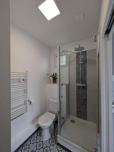 a bathroom with a toilet and a glass shower at Maison Le cottage in Crosne
