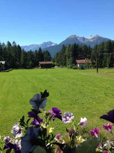 a field with flowers and mountains in the background at Bucherhof in Obsteig