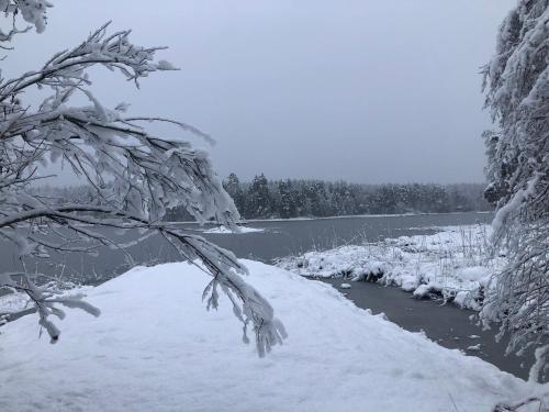 une rivière avec de la neige sur les branches d'un arbre dans l'établissement Lomatalo Aurinkorinne Punkaharjulla, à Punkaharju