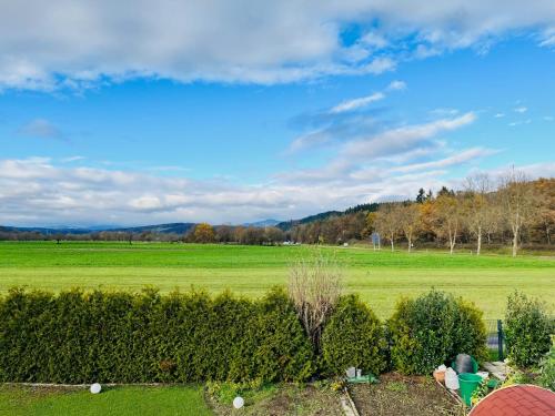 a view of a field and trees in the distance at Haus Ambiente - 4 Fewos in Bad Säckingen