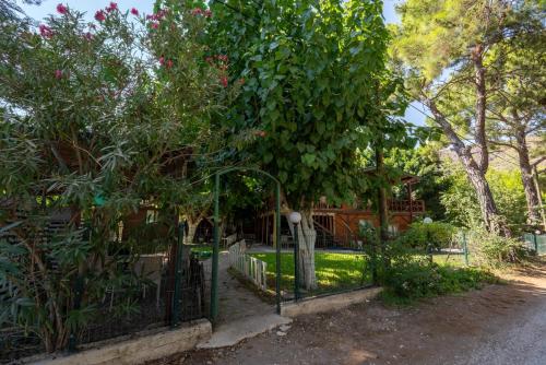 Foto Cirali Camping 6