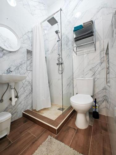 a bathroom with a toilet and a shower and a sink at Travelers Nest in Safi