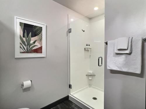 a white bathroom with a shower and a toilet at Downtown Vibes, Gym, Walk to Everything Fun in Birmingham