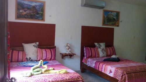 two beds in a room with two bedsitures at Hotel LOL-HA in Cobá