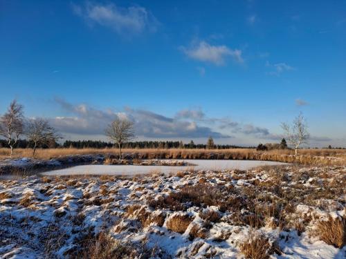 een met sneeuw bedekt veld met twee vijvers erin bij La Maison des Senteurs in Francorchamps