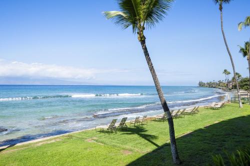 Φυσικό τοπίο κοντά σε αυτό το διαμέρισμα