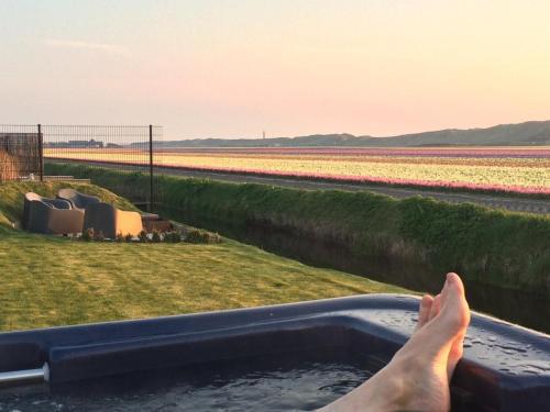eine Person, die in einem Whirlpool neben Tulpen badet in der Unterkunft Luxus-Villa, zu Fuß zum Strand, Dünenansicht mit privatem Whirlpool in Julianadorp