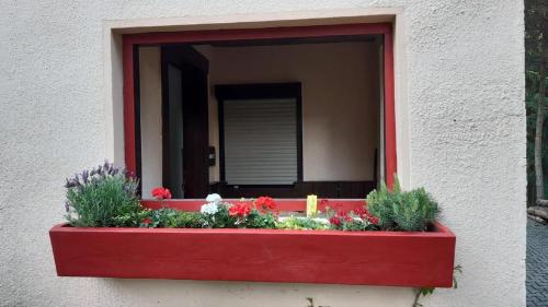 a window with a red box with flowers in it at Bergnest in Bad Gottleuba