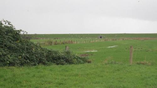 Loodusmaastik puhkemaja lähedal