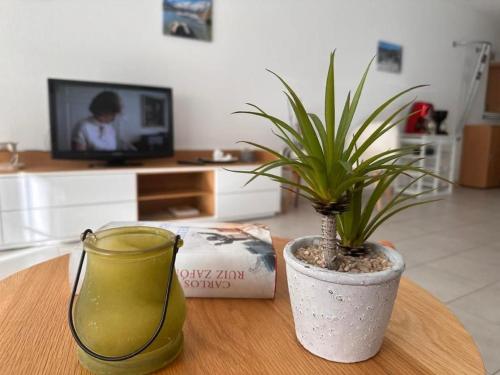 TV a/nebo společenská místnost v ubytování Haus Mondelli