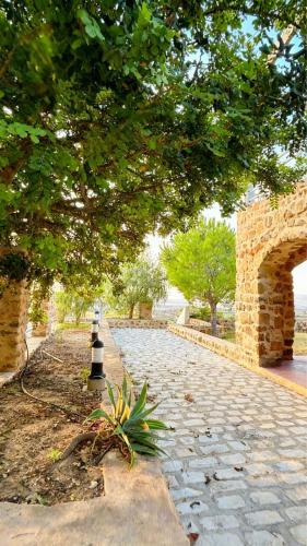 a stone pathway with a tree and a stone wall at Dar Nesri in Zaghouan
