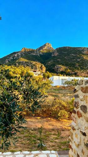 a view of a mountain with a house and trees at Dar Nesri in Zaghouan