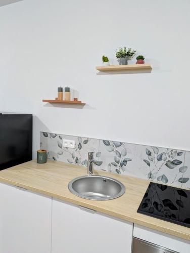un bancone da cucina con un lavandino e una TV di Le Douillet 20' Strasbourg logement neuf CLIM a Marlenheim