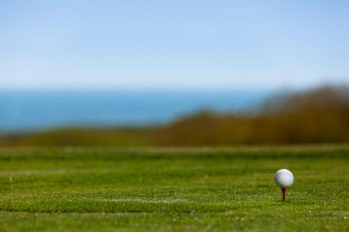 a golf ball on a tee in a green field at Sea Salt and Serenity-2 bedroom flat in The Mumbles-free parking in The Mumbles