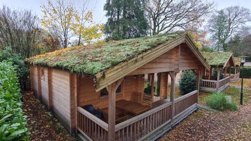 a small log cabin with a grass roof at HderH - Eco Lodge op vakantiepark De IJsvogel, zwembaden, kids fun, natuur en rust in Voorthuizen