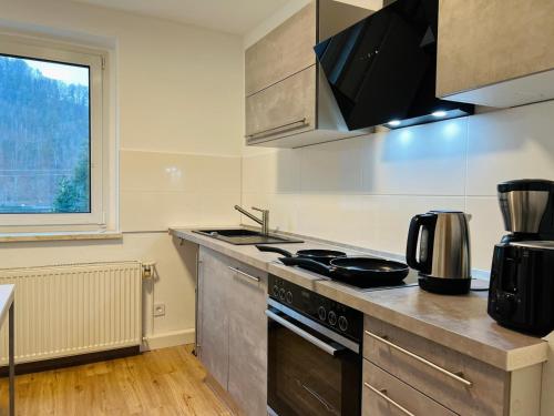 a kitchen with a stove top oven next to a window at LilienNest - Stilvolles Apartment mit Panoramablick in Königstein an der Elbe