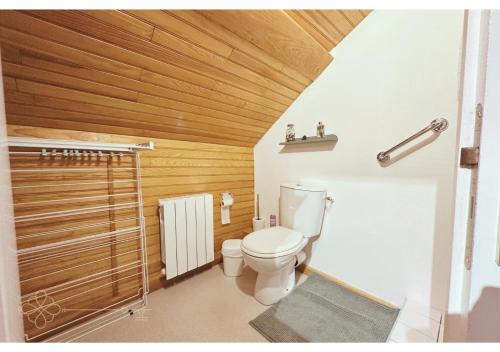 a bathroom with a toilet and a wooden ceiling at Bel appartement 4 à 6 personnes, ambiance chalet in Eaux-Bonnes