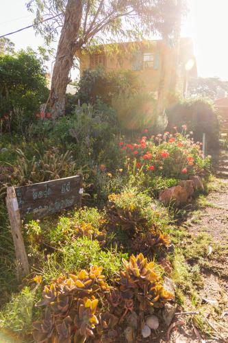 Jardí fora de Todo se transforma