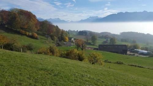 un campo verde con una granja a lo lejos en Studio In Renoviertes Bauernhaus 3 Pers, en Chardonne