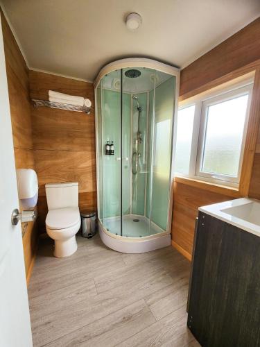 ein Badezimmer mit Toilette und Glasdusche in der Unterkunft suites puerto varas camino al corazon in Puerto Varas