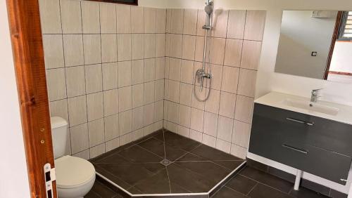 a bathroom with a shower and a toilet and a sink at HUAHINE- Fare Montagne in Parea