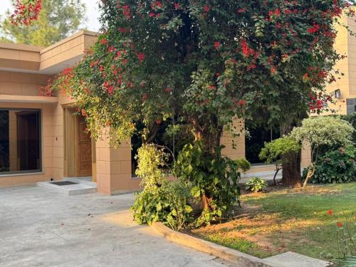 Κήπος έξω από το Amberwood residency