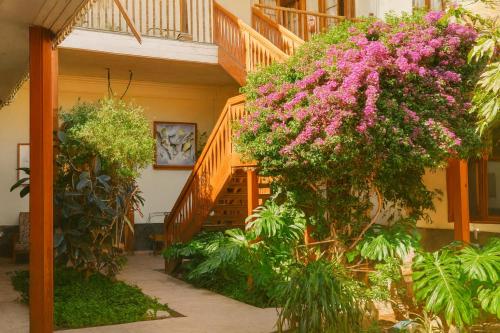 a bunch of pink flowers hanging from a staircase at Hotel HALLEY & Vive la Magia del Valle de Elqui in Vicuña