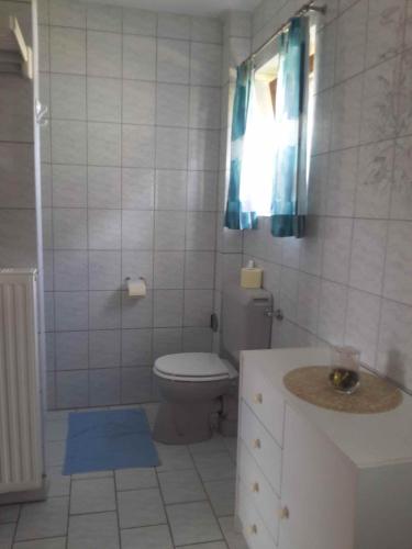 a bathroom with a toilet and a blue rug at Ferienhaus Warmuth in Sankt Stefan an der Gail
