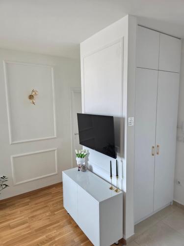 TV/trung tâm giải trí tại Apartman N Pale