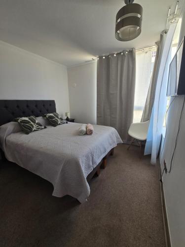 ein Schlafzimmer mit einem Bett und einem Stuhl und einem Fenster in der Unterkunft Acogedor y amplio Departamento A 5 min del centro in Rancagua