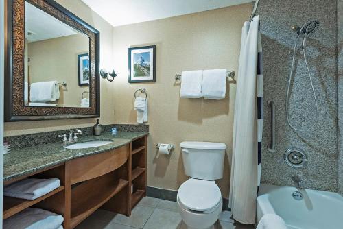 a bathroom with a toilet and a sink and a shower at Spacious King Suite in the Heart of Midway Near Park City & Sundance Ski Resorts - 209 in Mound City