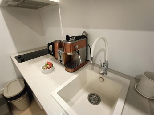 una pequeña cocina con una cafetera en una encimera en 'La forêt enchantée', en Villeurbanne