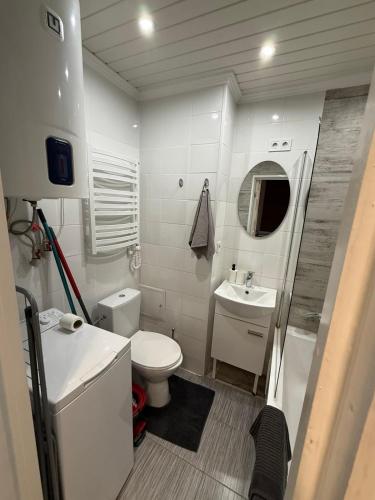 een kleine badkamer met toilet en wastafel bij Jurges Relax Graza in Daugavpils