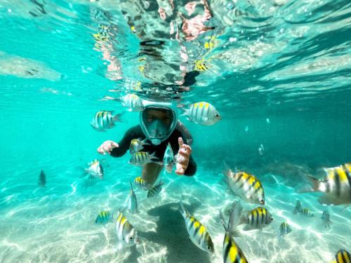 Hosté ubytování Vila das Conchas - Estalagem