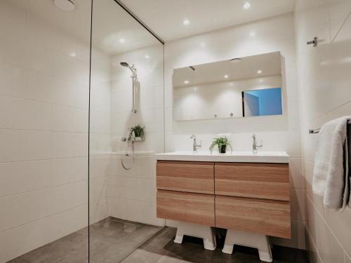 a bathroom with a sink and a mirror at Waterfront in Uitgeest