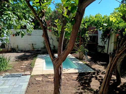 un árbol con un estanque en un patio en Belen, en San Rafael