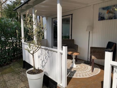 a porch of a house with a potted plant at Celisa S Häuschen in Hoenderloo