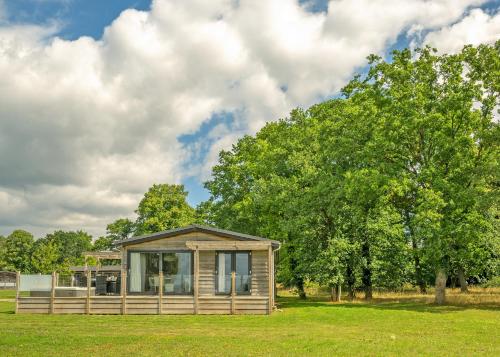 une petite cabine dans un champ avec un arbre dans l'établissement Aspen Lodge Escape, à Hengrave
