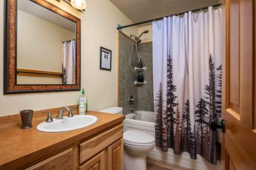 ein Badezimmer mit Waschbecken, Toilette und Dusche in der Unterkunft Alltitude Chalet in Government Camp